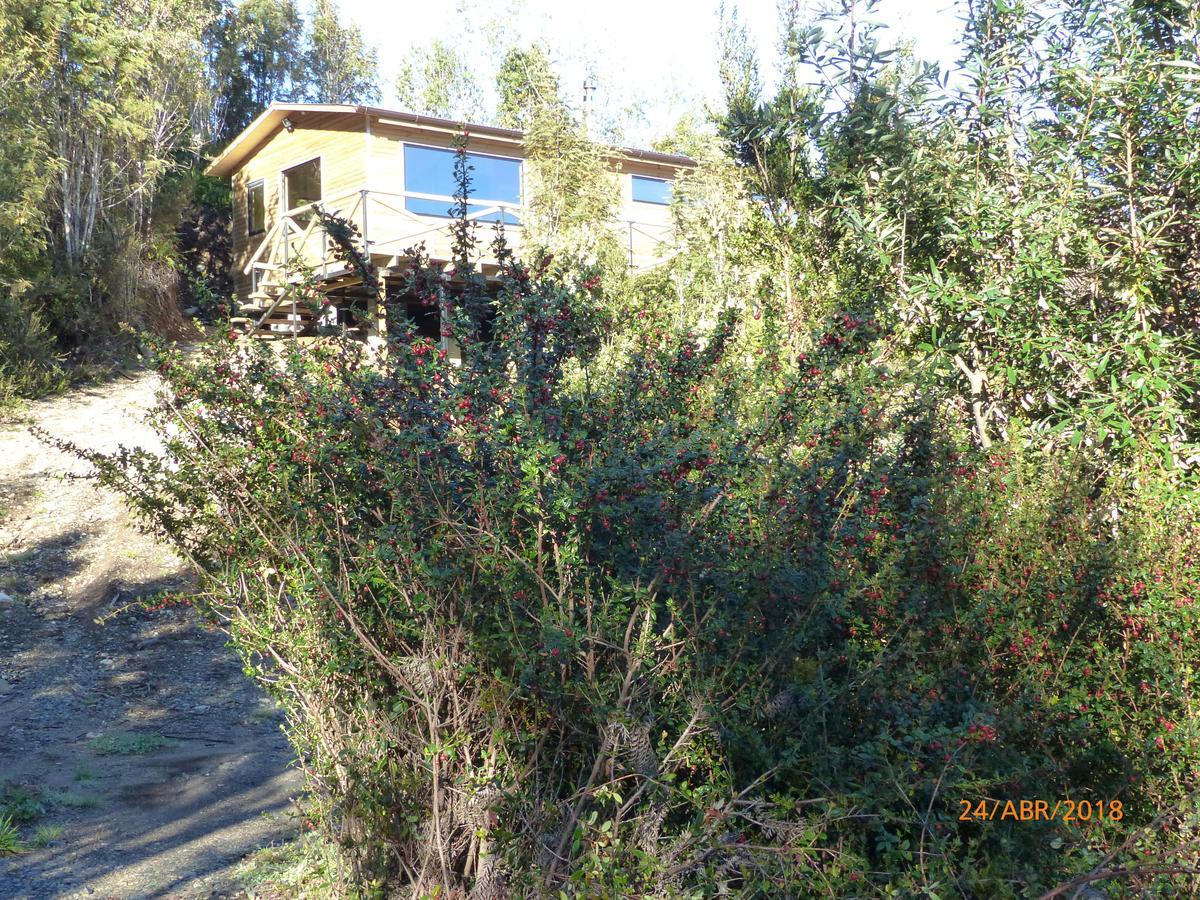Cabanas Latitud 41 Sur Quillaipe 外观 照片