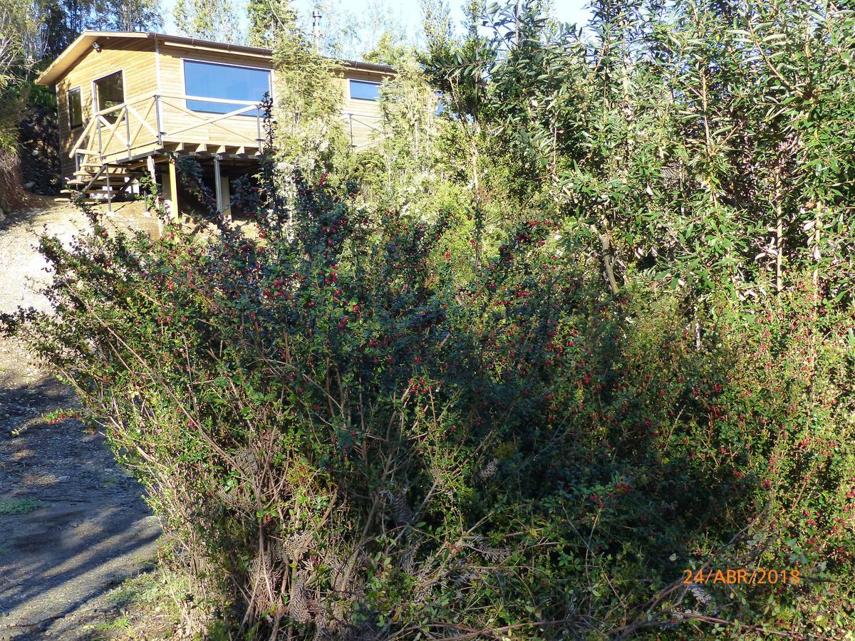 Cabanas Latitud 41 Sur Quillaipe 外观 照片